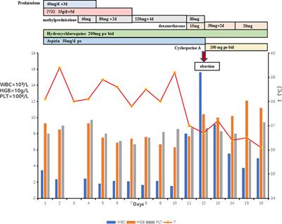 Case report and literature review: Hemophagocytic lymphohistiocytosis in a pregnant woman with systemic lupus erythematosus with Syntaxin 11 gene defect